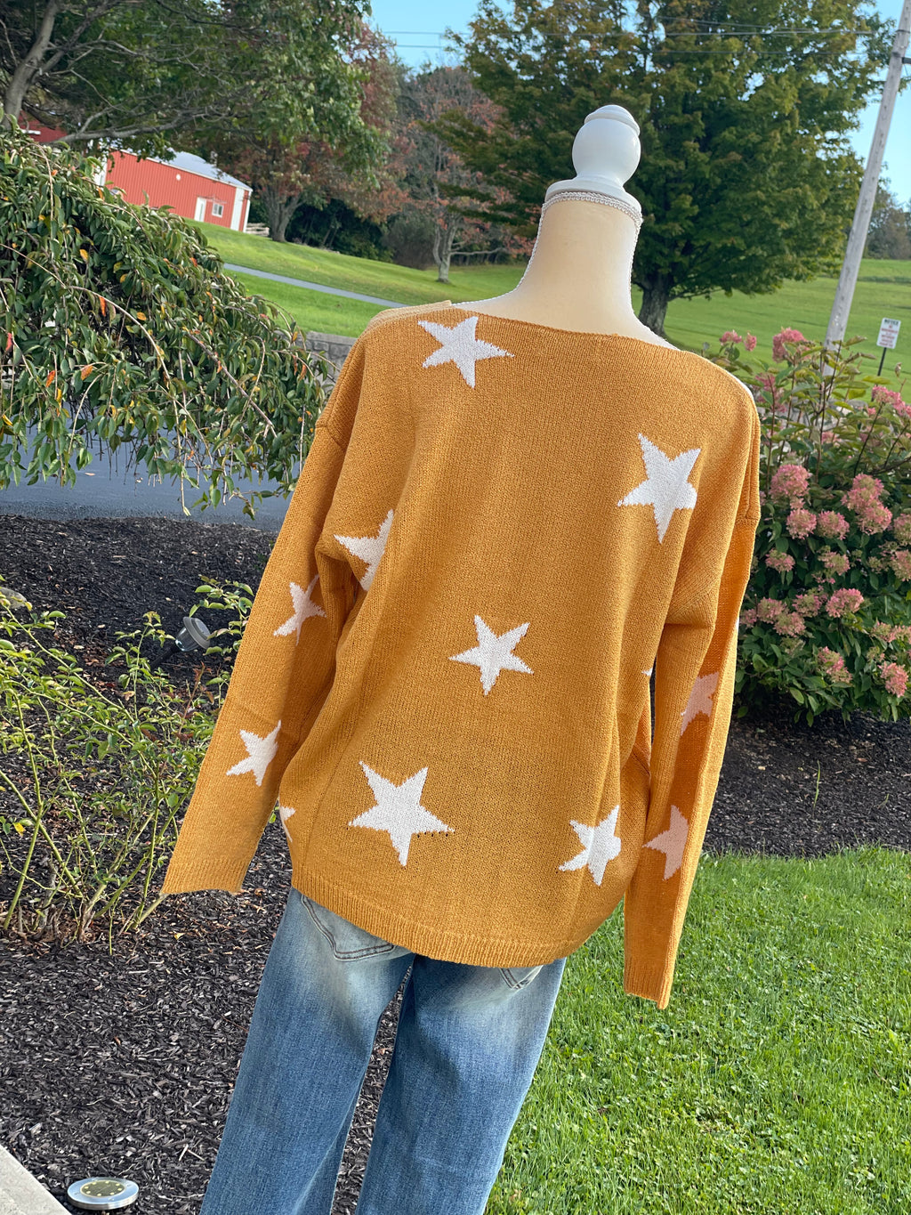LONG SLEEVE STAR SWEATER
